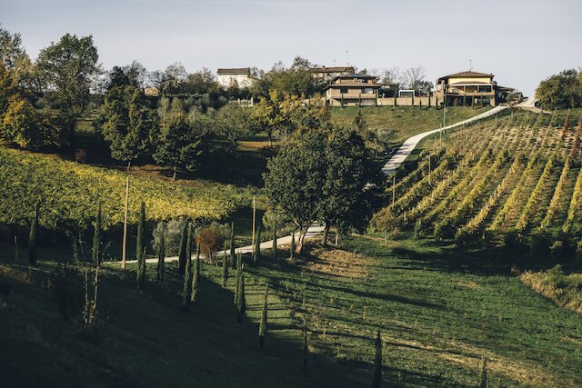 アグリツーリズモ アセタイア セレーニ