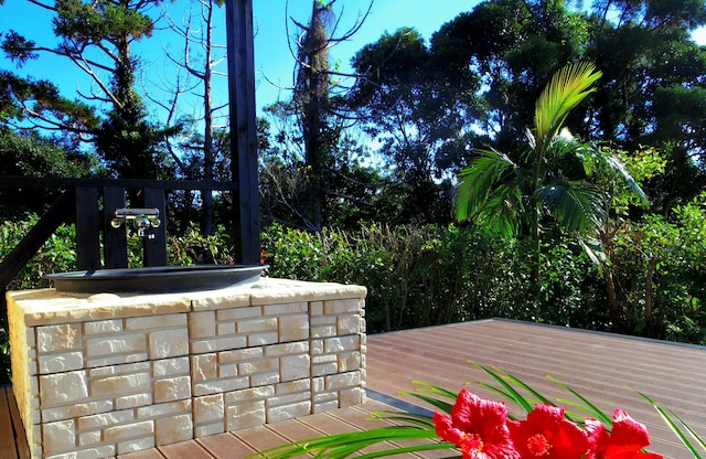 屋久島 コテージ 森のフェアリー