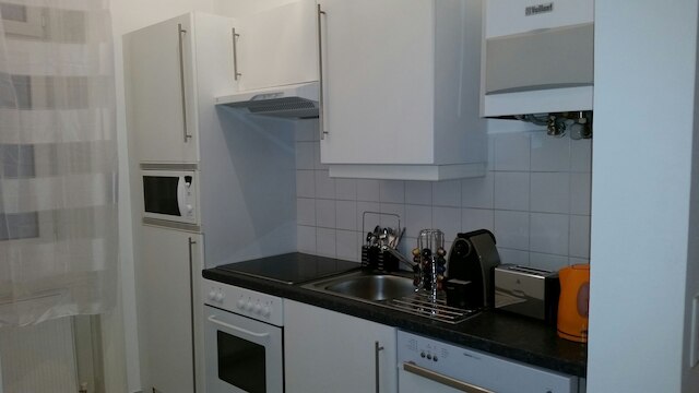 ゴールドフィッシュ アパートメント セントラル パーク