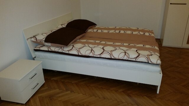 ゴールドフィッシュ アパートメント セントラル パーク