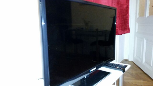 ゴールドフィッシュ アパートメント セントラル パーク