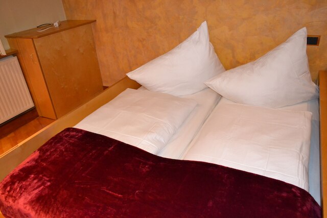 ゴールドフィッシュ アパートメント ヴィエナ オペラ ハウス