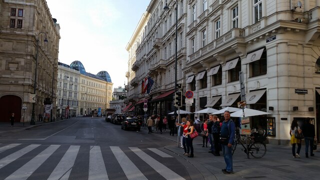 ゴールドフィッシュ アパートメント ヴィエナ オペラ ハウス