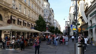 ゴールドフィッシュ アパートメント ヴィエナ オペラ ハウス