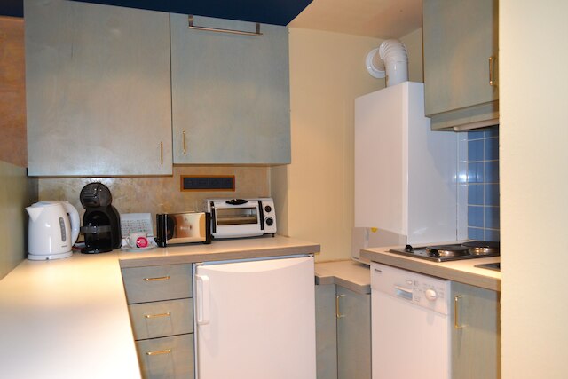 ゴールドフィッシュ アパートメント ヴィエナ オペラ ハウス