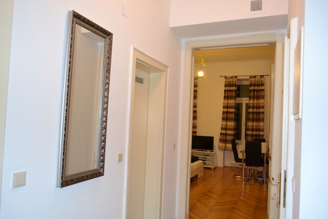 ゴールドフィッシュ アパートメント アム ドナウカナル