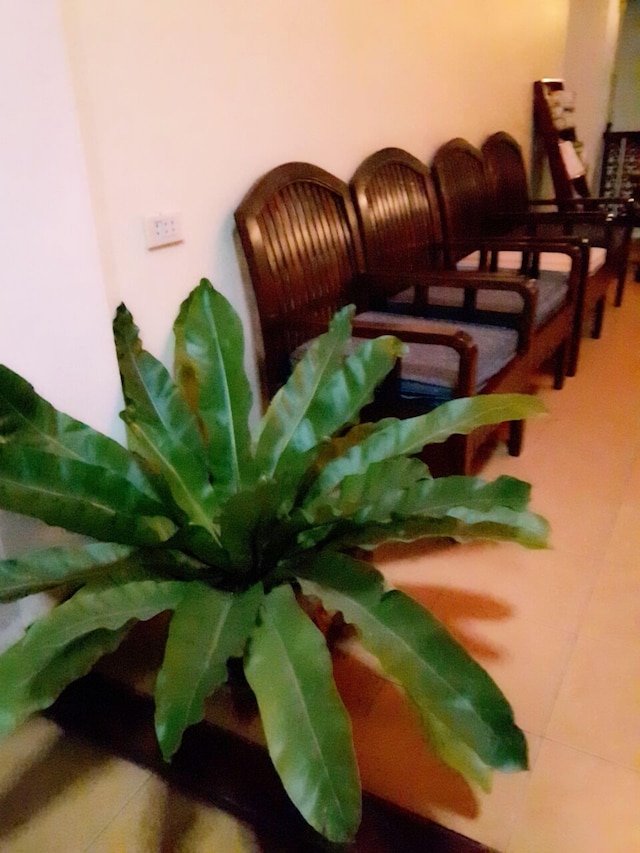 フォンプラセウス ゲストハウス