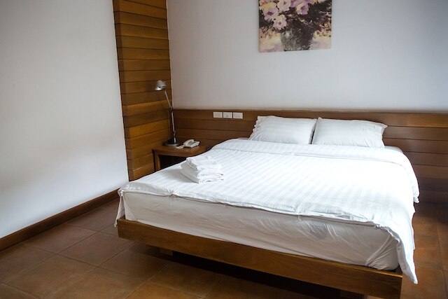 ツリー ホーム プラス ホーム ステイ