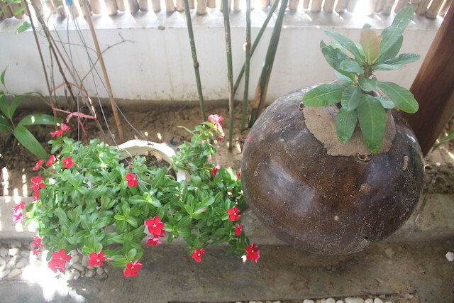 アン バン ヴェラ ホームステイ