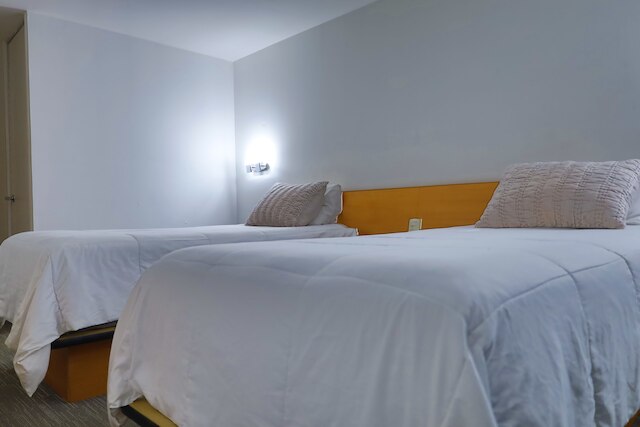 アリストス・エクスプレス・Cdmx