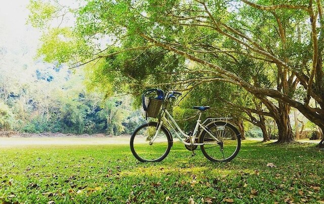 ランナー リゾート