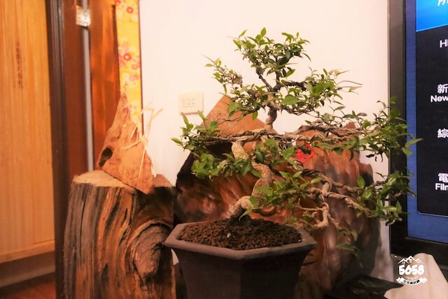 大餅ホーム イン台南 (台南大餅的家)