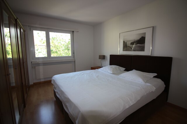 スイス スター ヴィーディコン