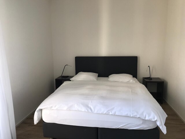 スイス スター ヴィーディコン