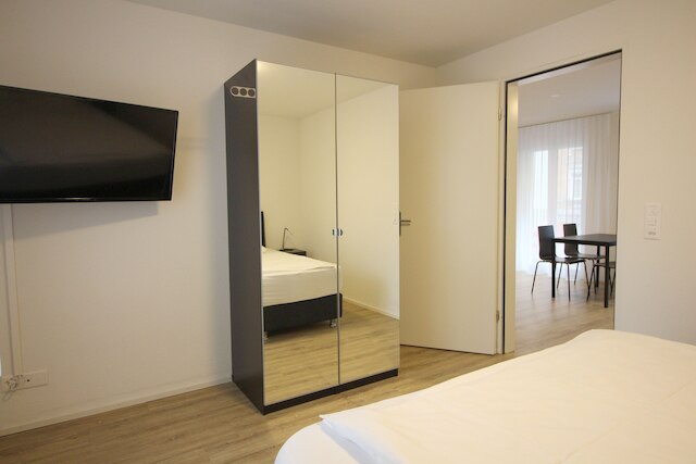 スイス スター ヴィーディコン