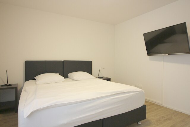 スイス スター ヴィーディコン