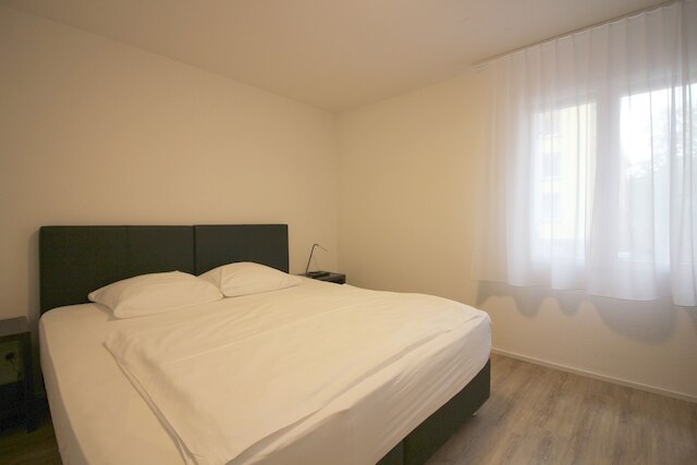 スイス スター ヴィーディコン