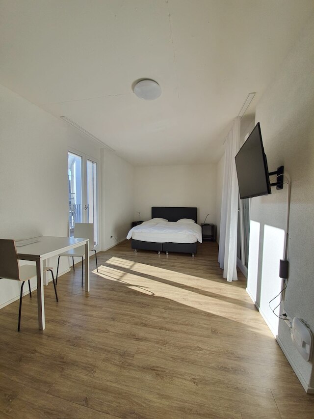 スイス スター ヴィーディコン