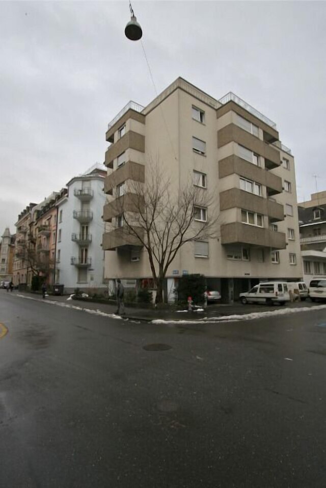 スイス スター ヴィーディコン