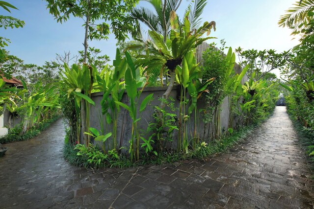 デダリー リゾート & スパ ウブド バイ イニ ヴィエ ホスピタリティ