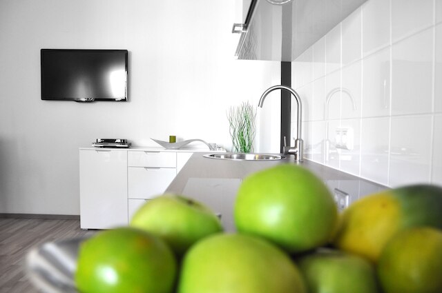 トラディショナル アパートメンツ ウィーン TAV