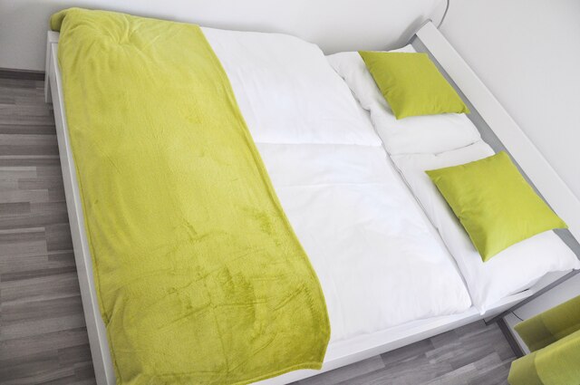 トラディショナル アパートメンツ ウィーン TAV