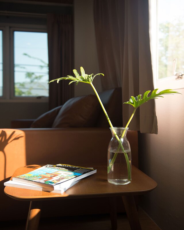 シェード・ハウス - バイテック・バンナ