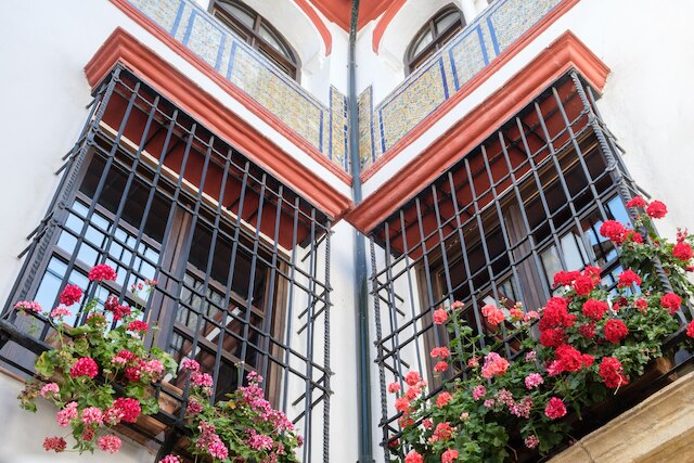 アパルタメントス ロス パティオス デ ラ フデリア