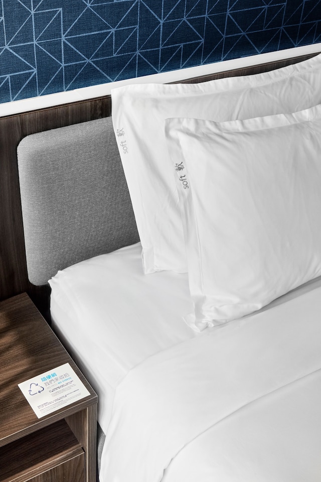 ホリデー イン エクスプレス 高雄 ラブ リバー by IHG (高雄愛河智選假日酒店)