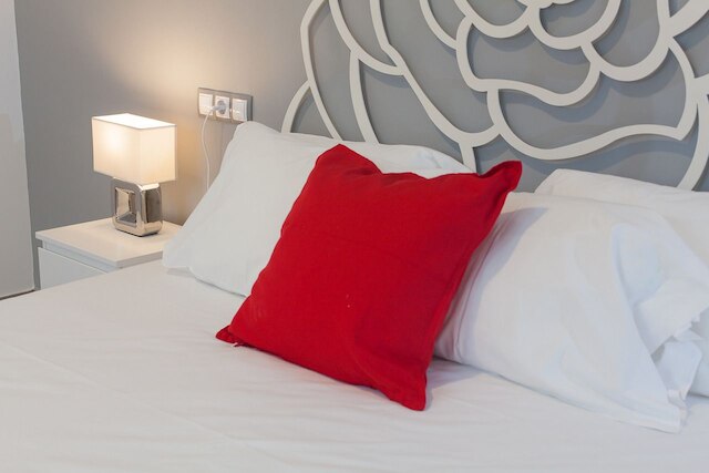 アパルタメントス テラサス デ ラ カテドラル