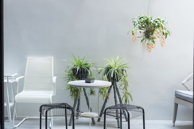 ホワイト アイボリー ベッド & ブレックファスト