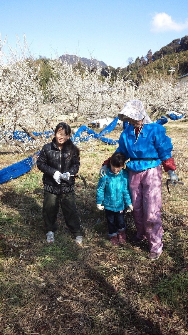 農家民泊 未来農園