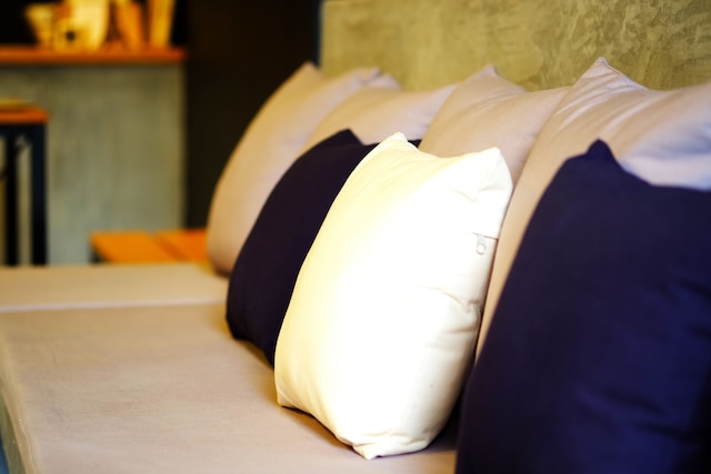 ザ バックパック ホステル