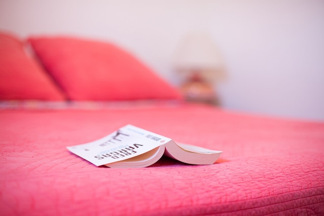 シー ビュー ハイ エンド ルーフトップ トリプレックス