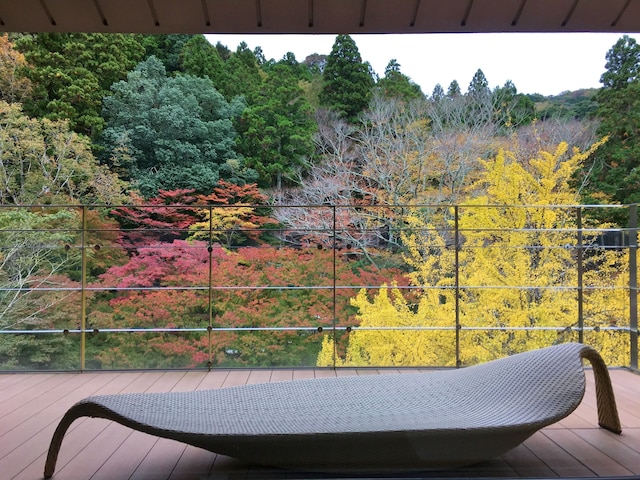 宙 SORA 渡月荘金龍