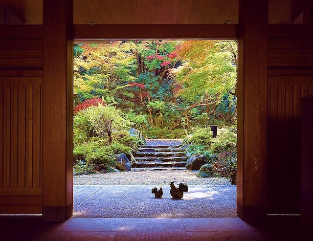 宙 SORA 渡月荘金龍