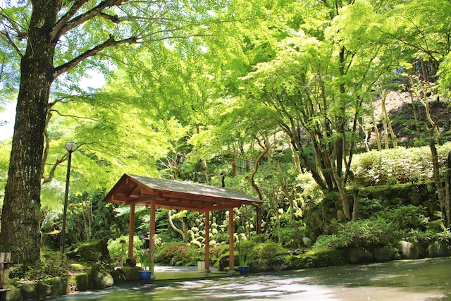 宙 SORA 渡月荘金龍