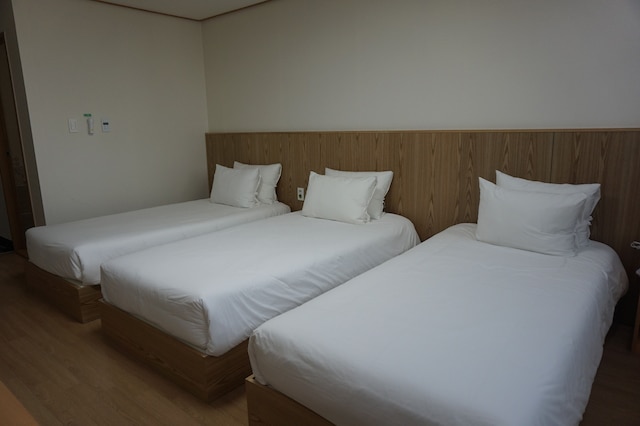 ソルドンサン ステイ