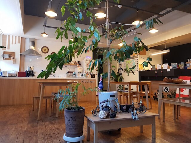 ソクチョ & ゲストハウス