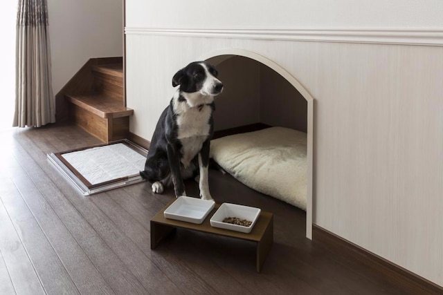 小谷流の里 ドギーズアイランド