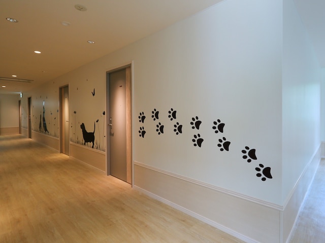 小谷流の里 ドギーズアイランド