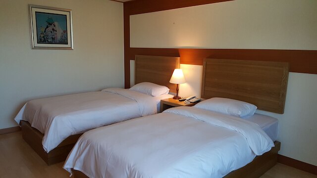 ダイヤモンド ホテル