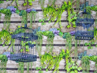 イビス バジェット パリ ポルト ド ヴァンヴ