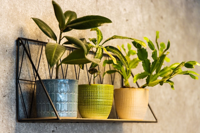 イビス バジェット パリ ポルト ド ヴァンヴ