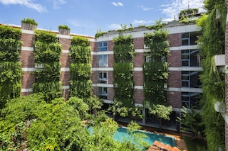 マルベリー コレクション シルク エコ