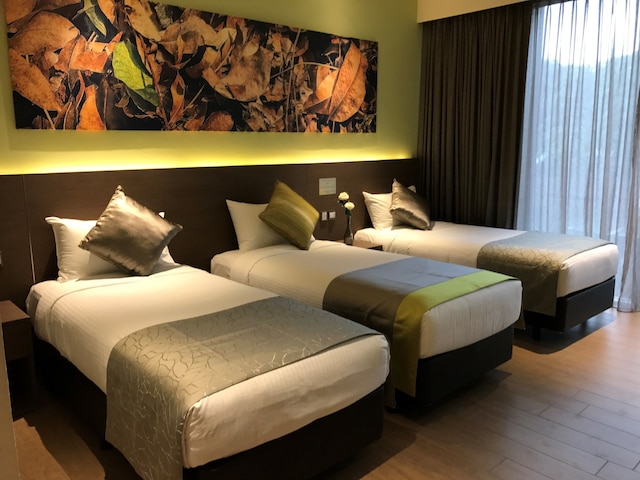 D リゾート アット ダウンタウン イースト