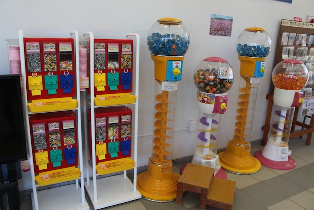 ネイチャーみらい館