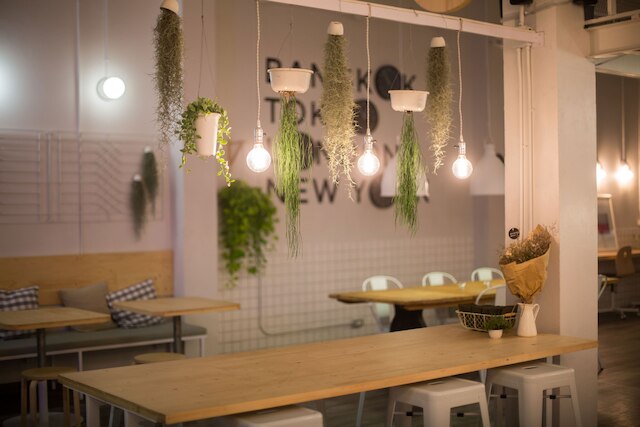 モウィーロッジ ホステル