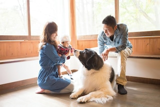 蓼科わんわんパラダイスコテージ