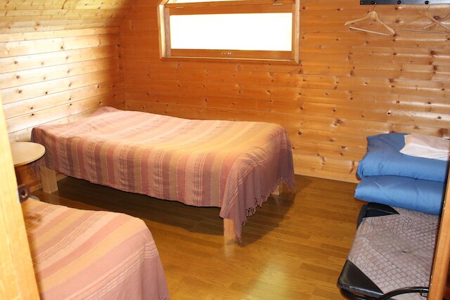 ニセココテージアカゲラ